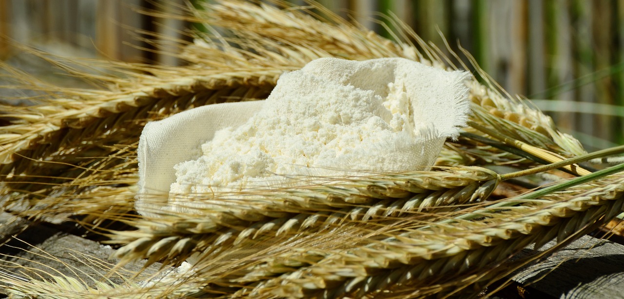 Exploring the Lucrative Business Scope of Millet Flour in the USA